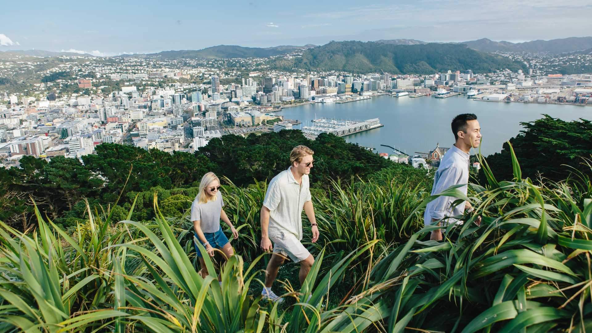 Nine of the Best Day Hikes to Conquer In and Around Wellington ...