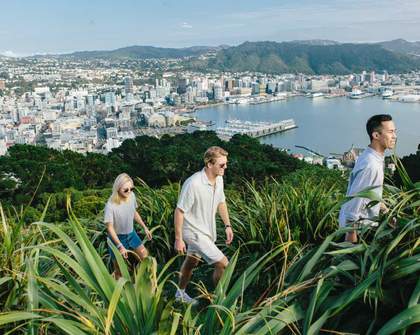 Nine of the Best Day Hikes to Conquer In and Around Wellington