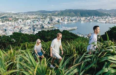 Nine of the Best Day Hikes to Conquer In and Around Wellington