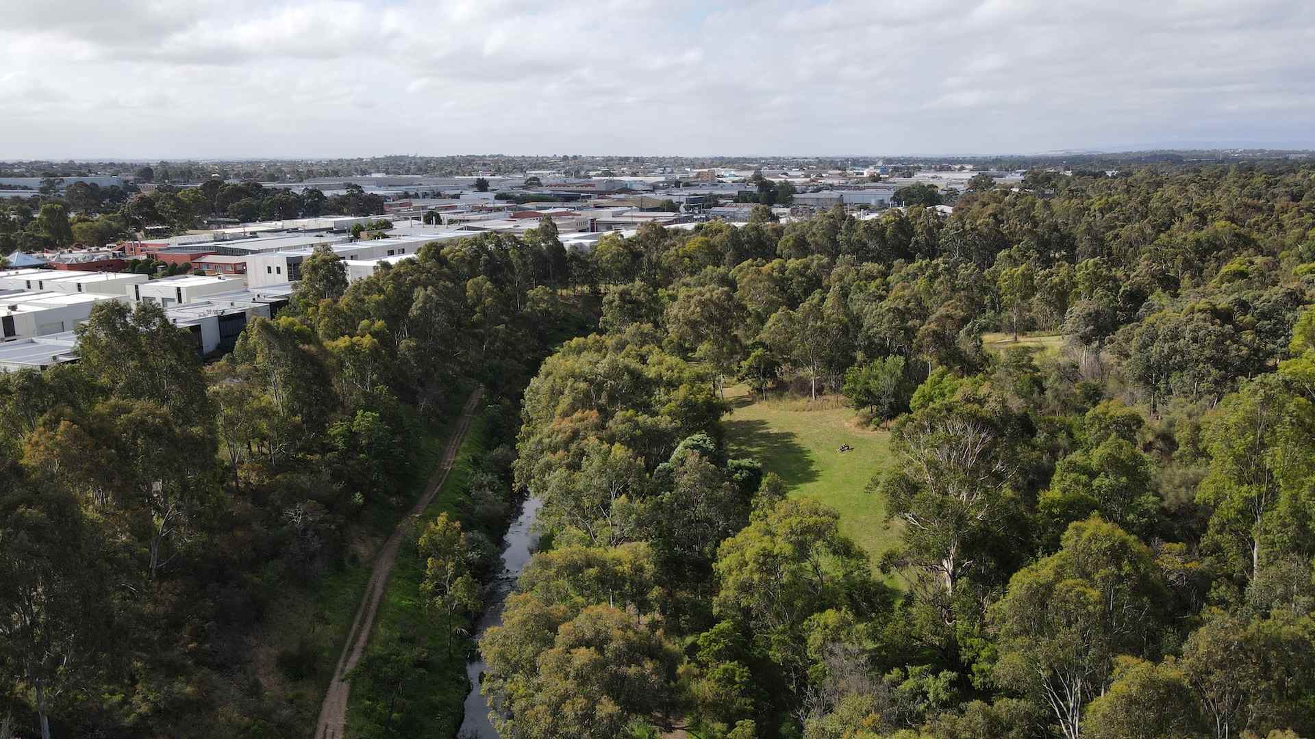 DAREBIN PARKLANDS - one of the best walks in Melbourne.