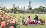The Five Parks in Brisbane Where You Can BYO Drinks