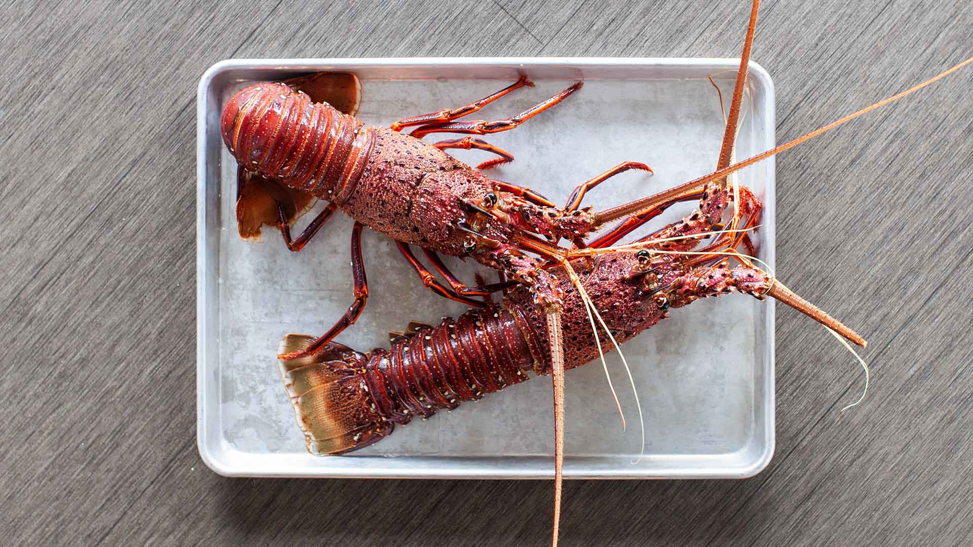 Lobster Weekend