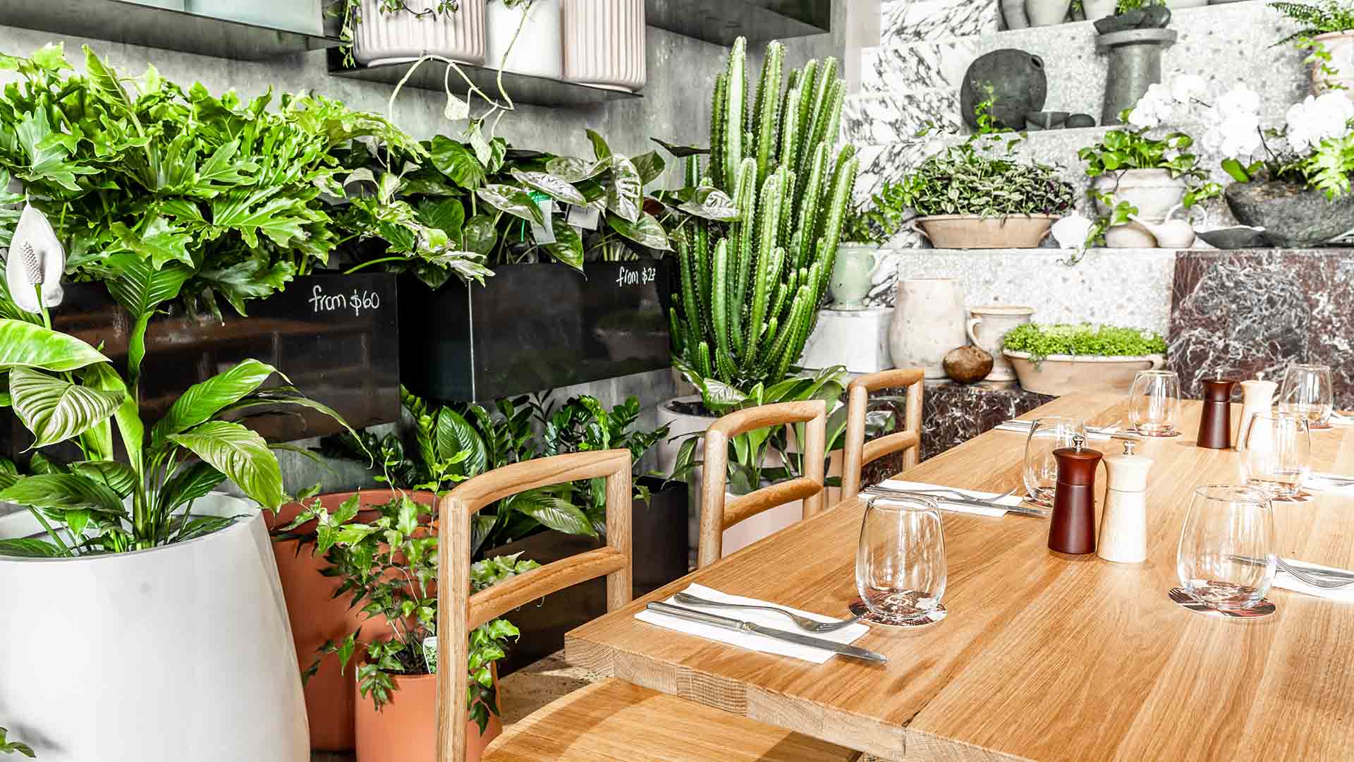 The Green Has Opened a Permanent Plant Shop and Middle Eastern Restaurant on James Street