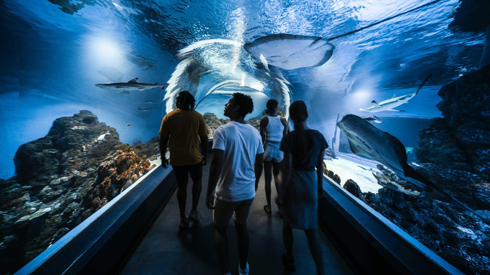 Cairns Aquarium - Concrete Playground