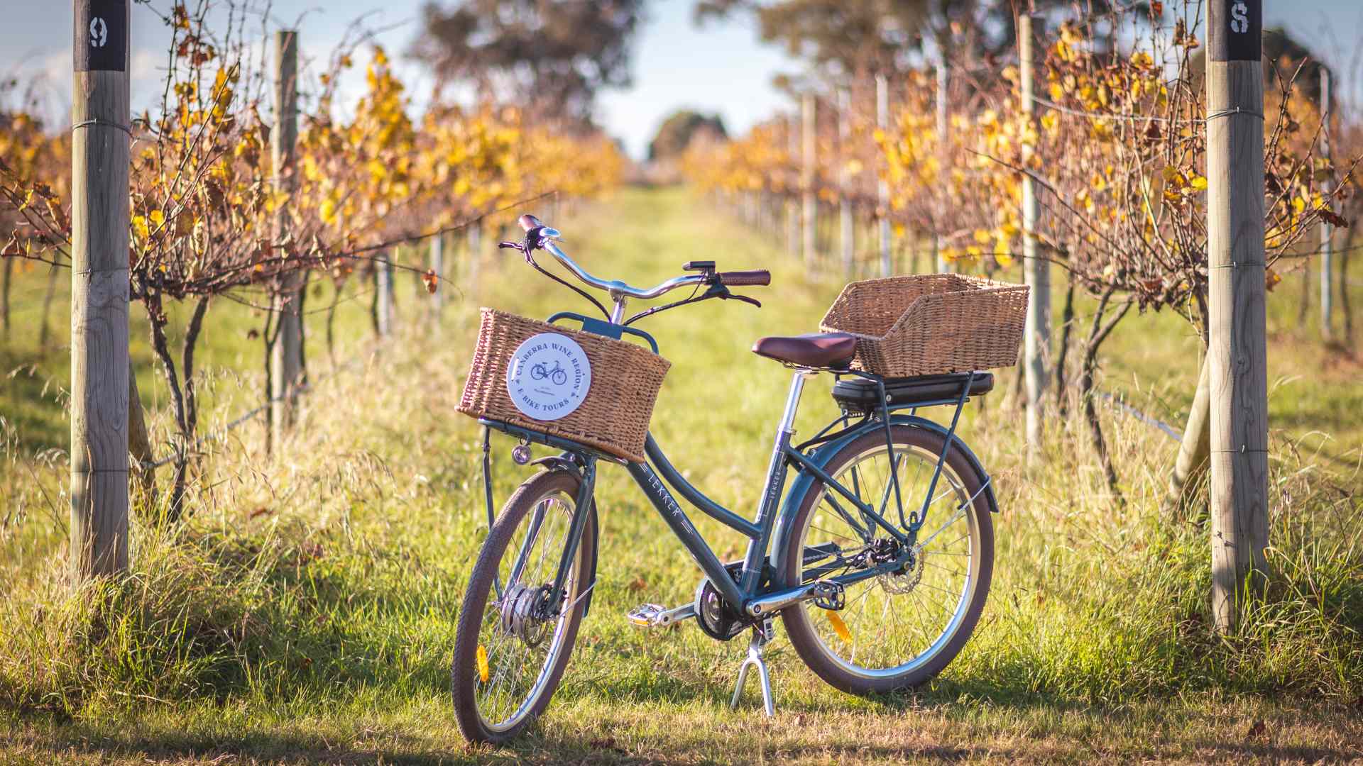Canberra Wine Region E-Bike Tours