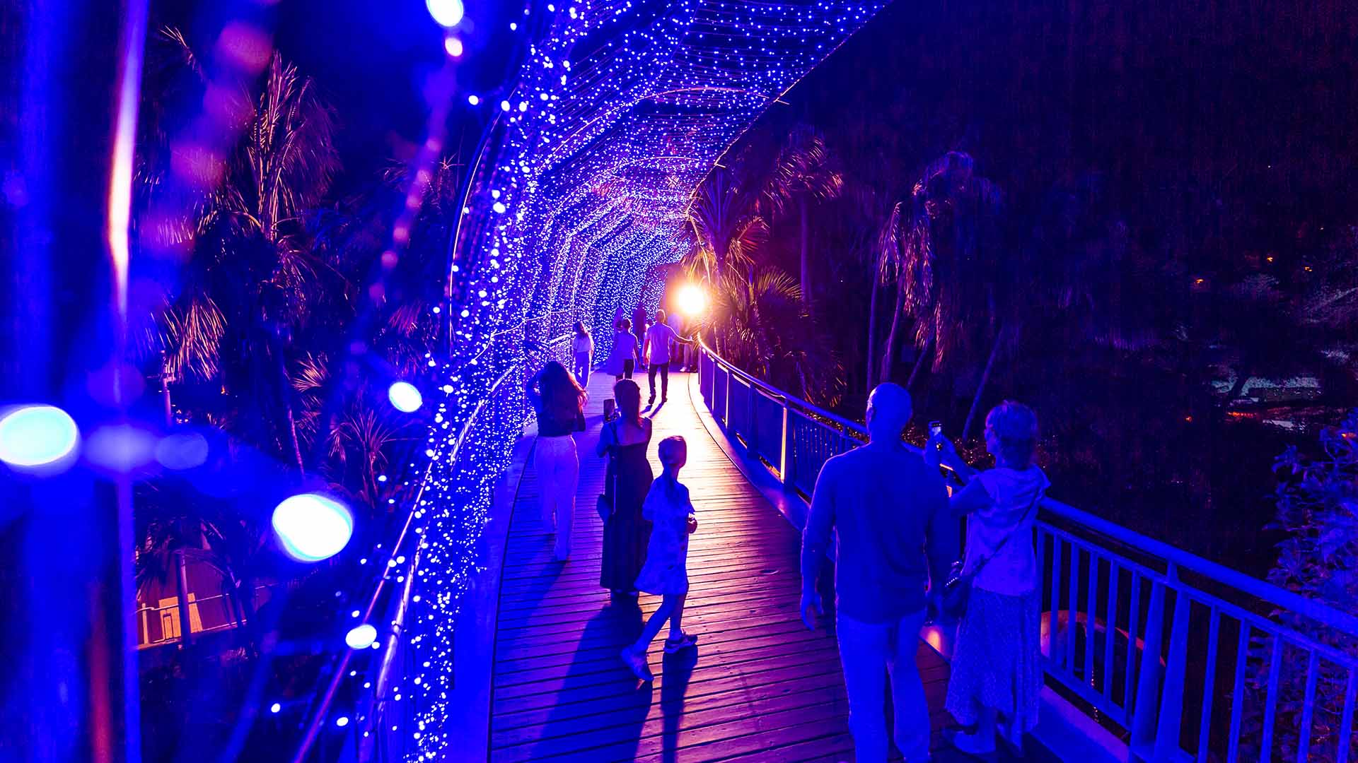 Everything You Need to Put in Your Diary for December