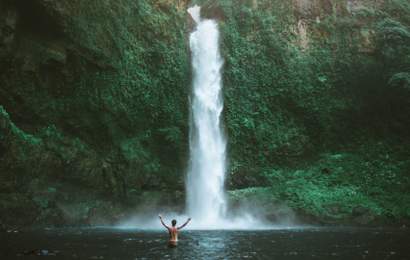 Background image for Only in Tropical North Queensland