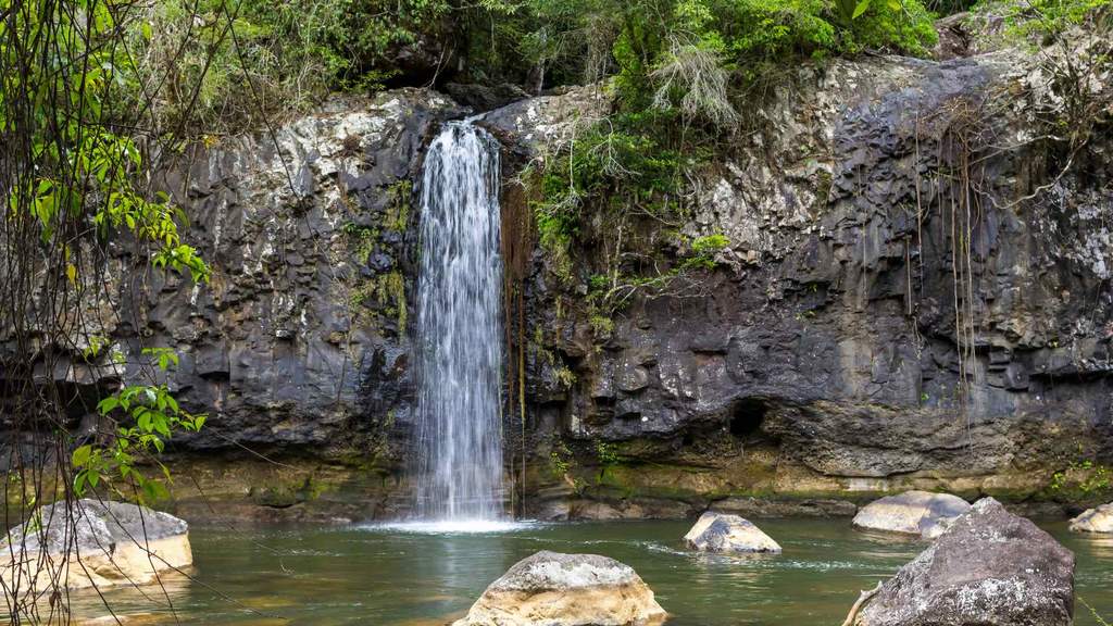 Ponytail Falls - Concrete Playground