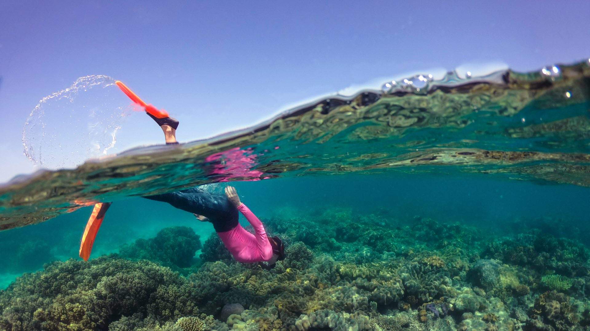Nine Incredible Ways You Can Experience the Great Barrier Reef in Tropical North Queensland