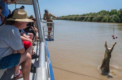 Spectacular Jumping Crocodile Cruise