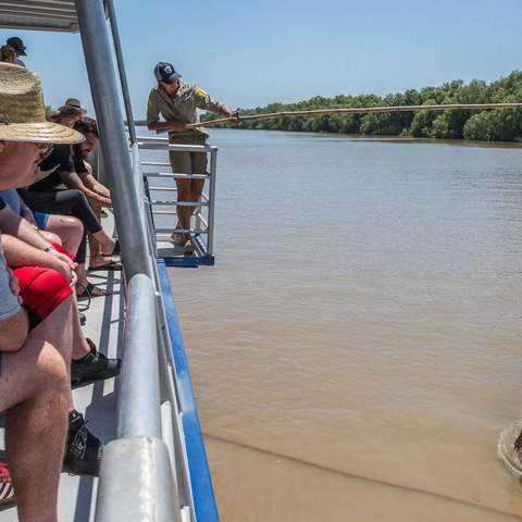 Spectacular Jumping Crocodile Cruise