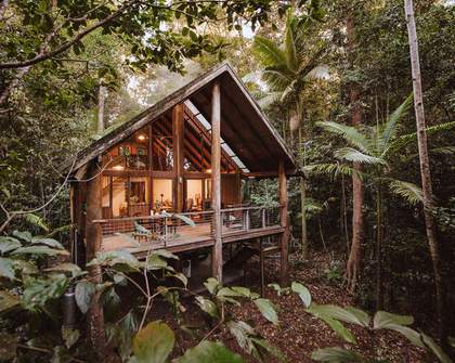 Seventeen Treehouses Around Australia You Can Book for an Immersive Nature Getaway