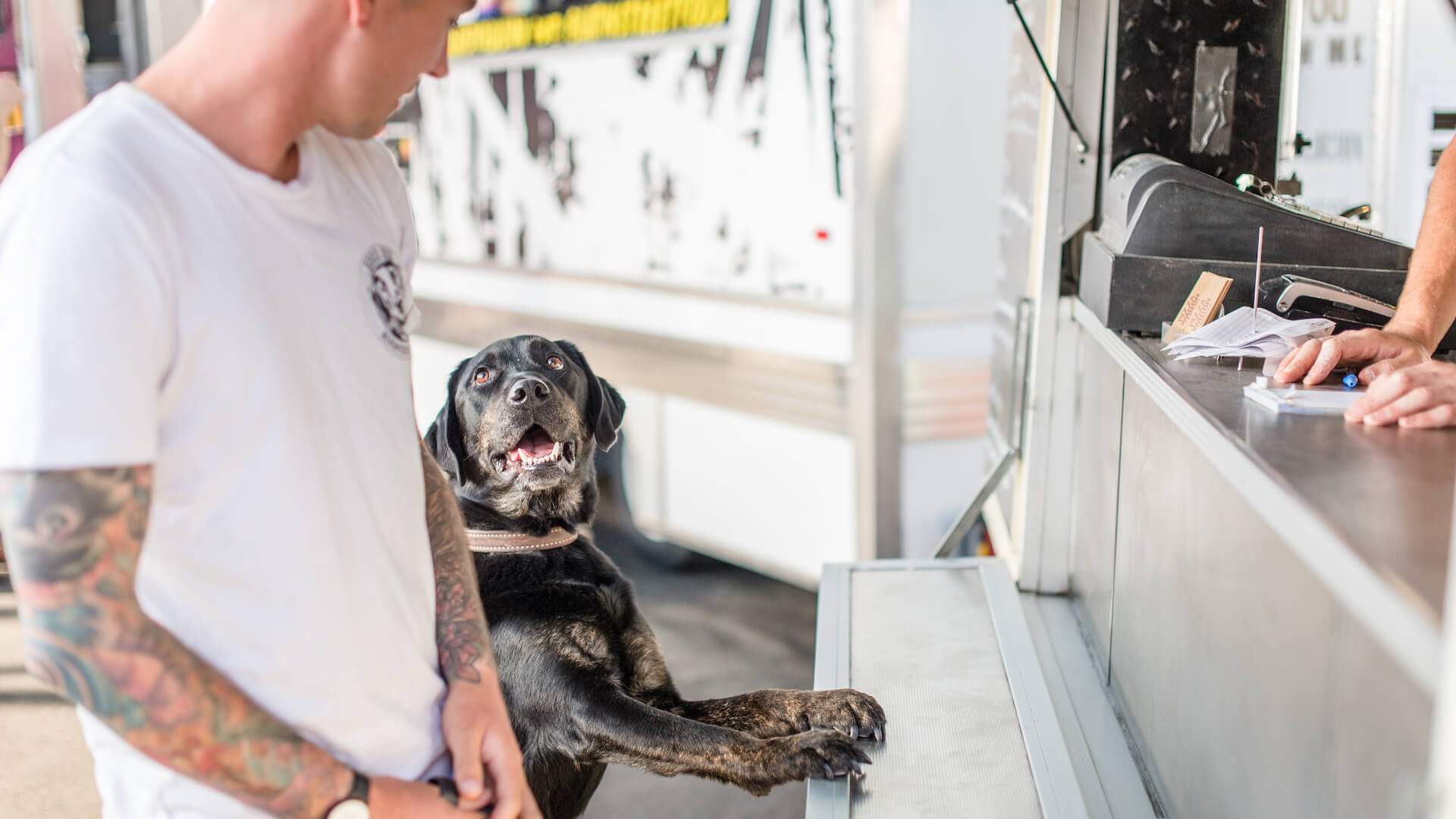 dog and owner ordering food from one of the food trucks at Welcome to Brunswick