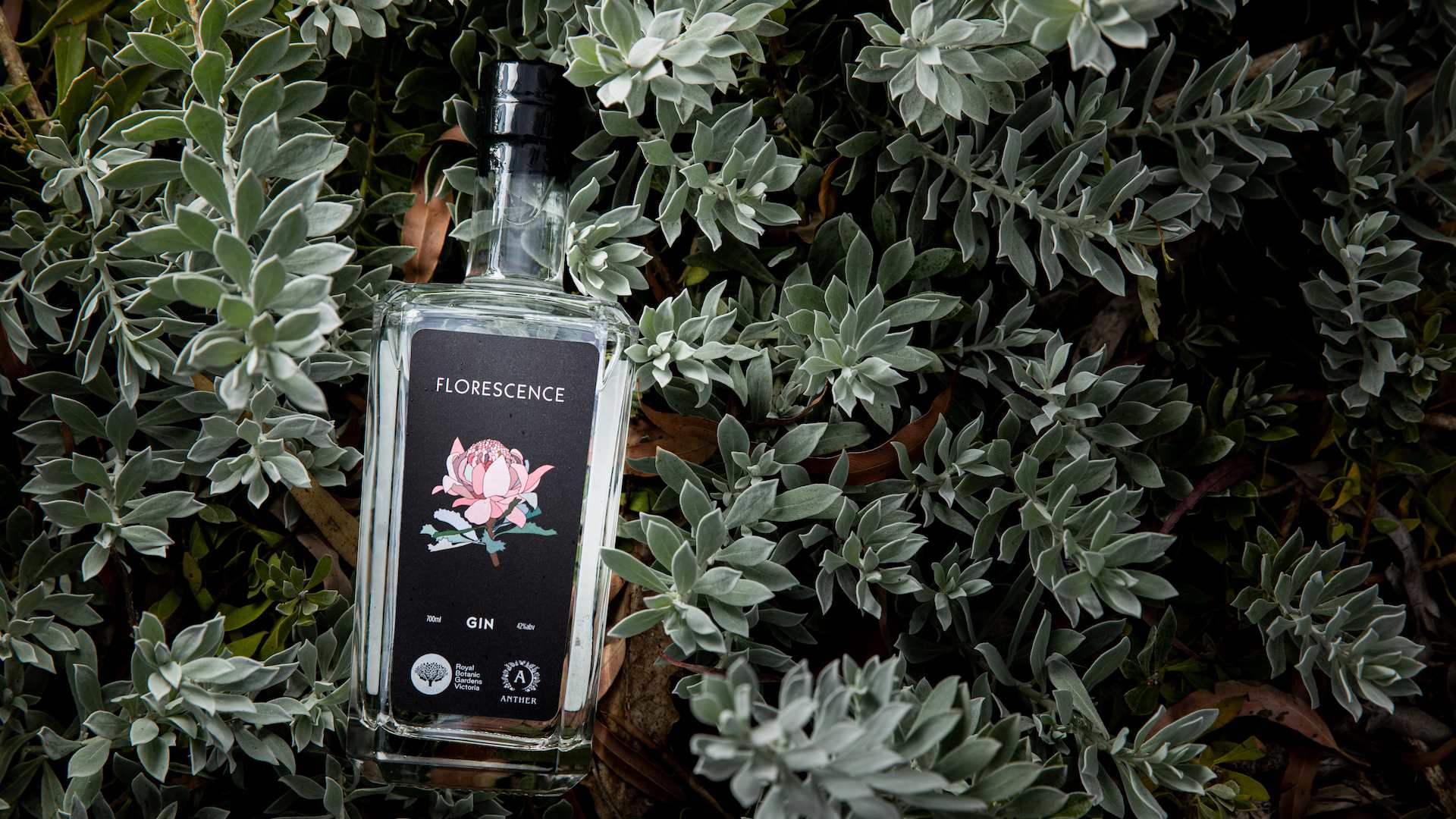 Florescence Is the New Homegrown Gin Crafted on Plants from the Royal Botanic Gardens
