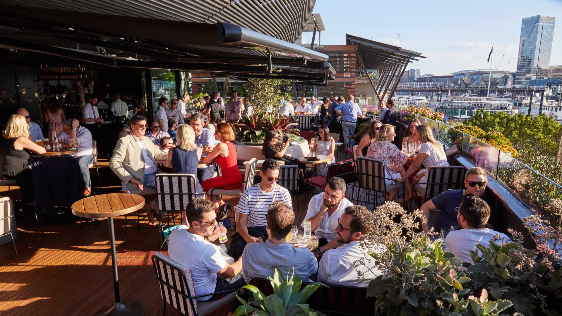 What's Open for Eats and Drinks in Sydney on New Year's Day