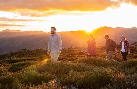 Six Warm Weather Experiences You Didn't Realise You Could Have in Falls Creek