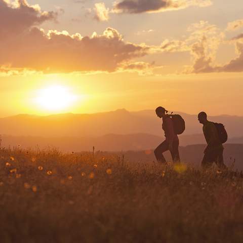 Bushwalking at Razorback - Cathedral Ranges - one of the best walks near Melbourne, Victoria.