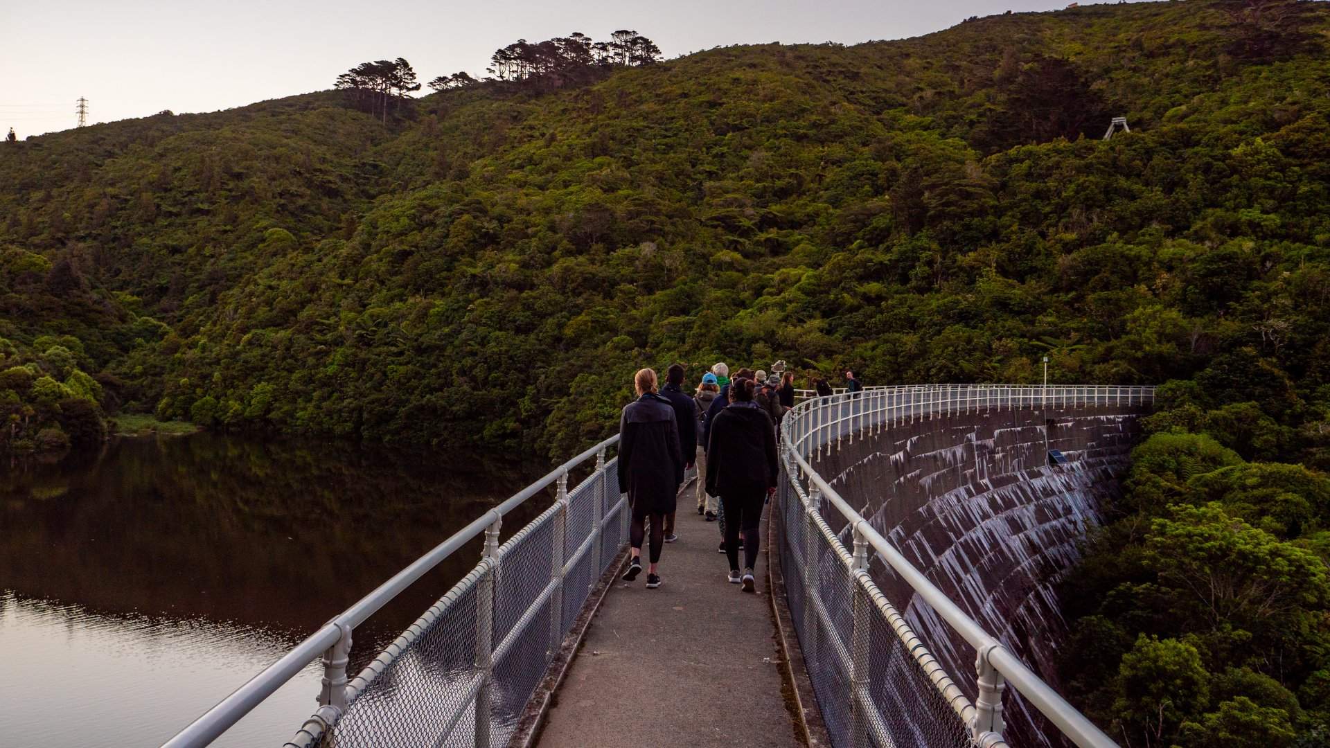 The Best Things to Do in Wellington This Long Weekend