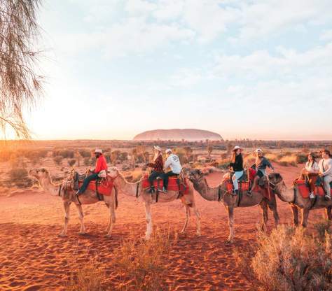 Sunset Camel Experience 