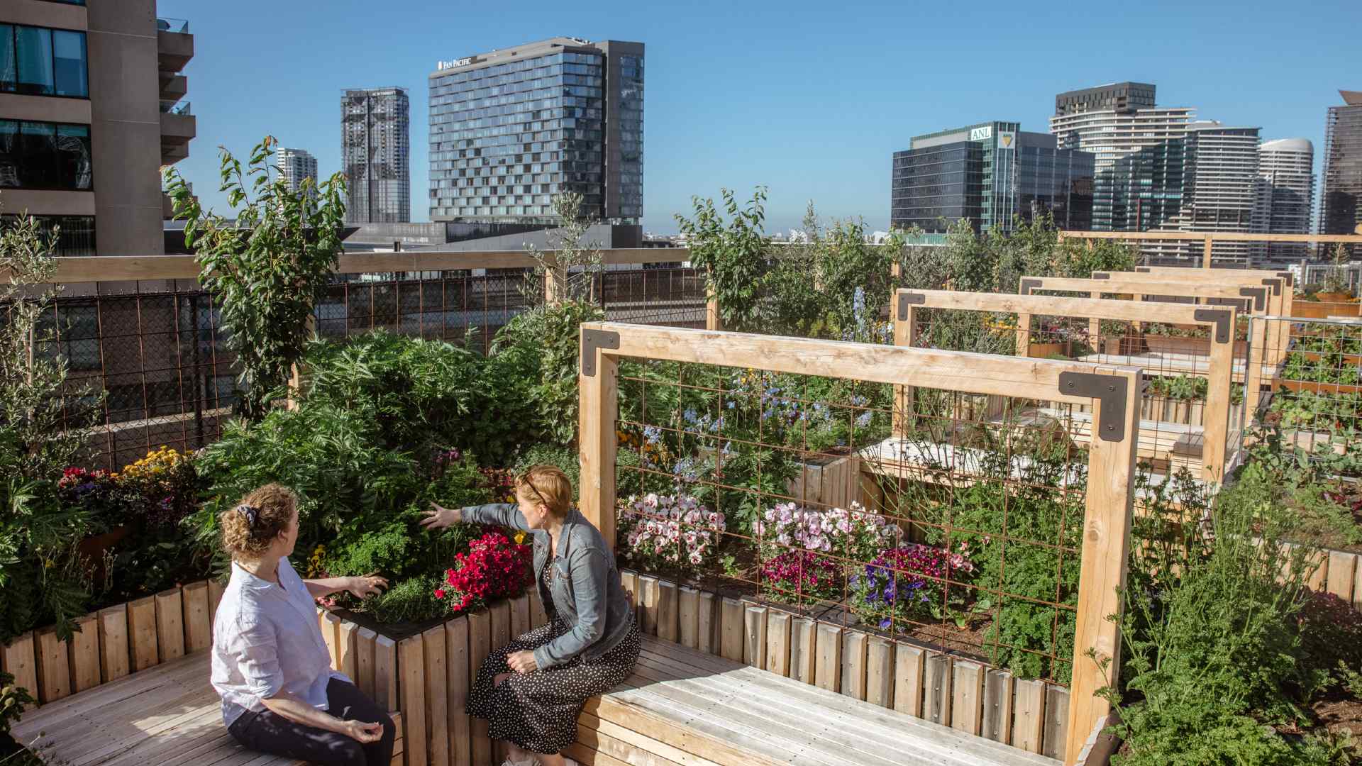 Skyfarm Is the New Urban Farm and Beacon of Sustainability Opening on a CBD Rooftop