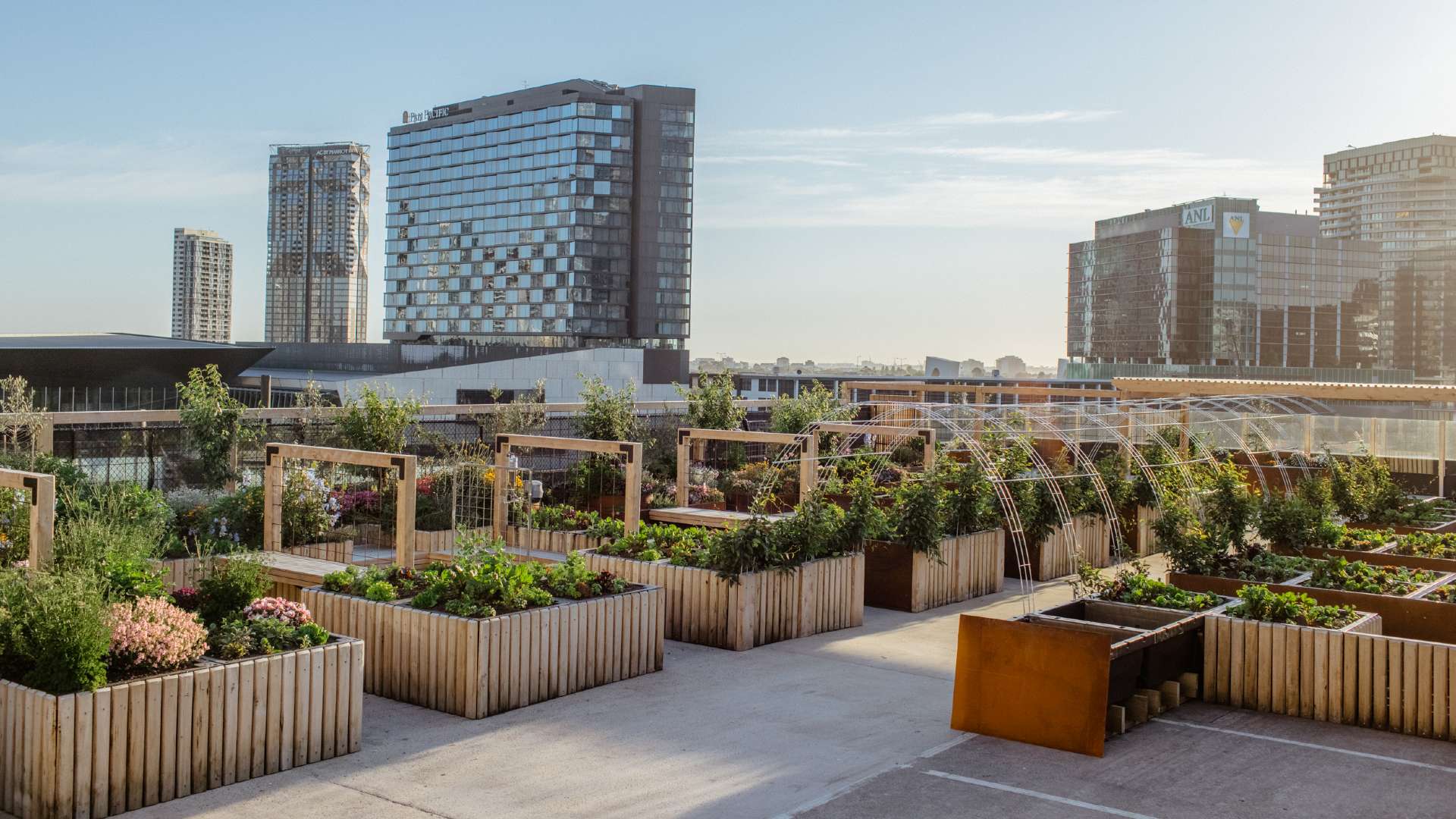 Skyfarm Is the New Urban Farm and Beacon of Sustainability Opening on a CBD Rooftop
