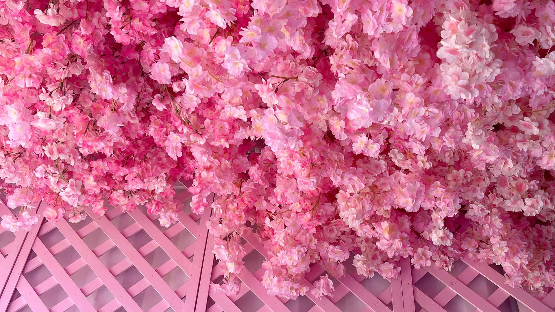 Bloomville Is the New Sugar Republic Pop-Up Filling Shipping Containers with Floral Installations
