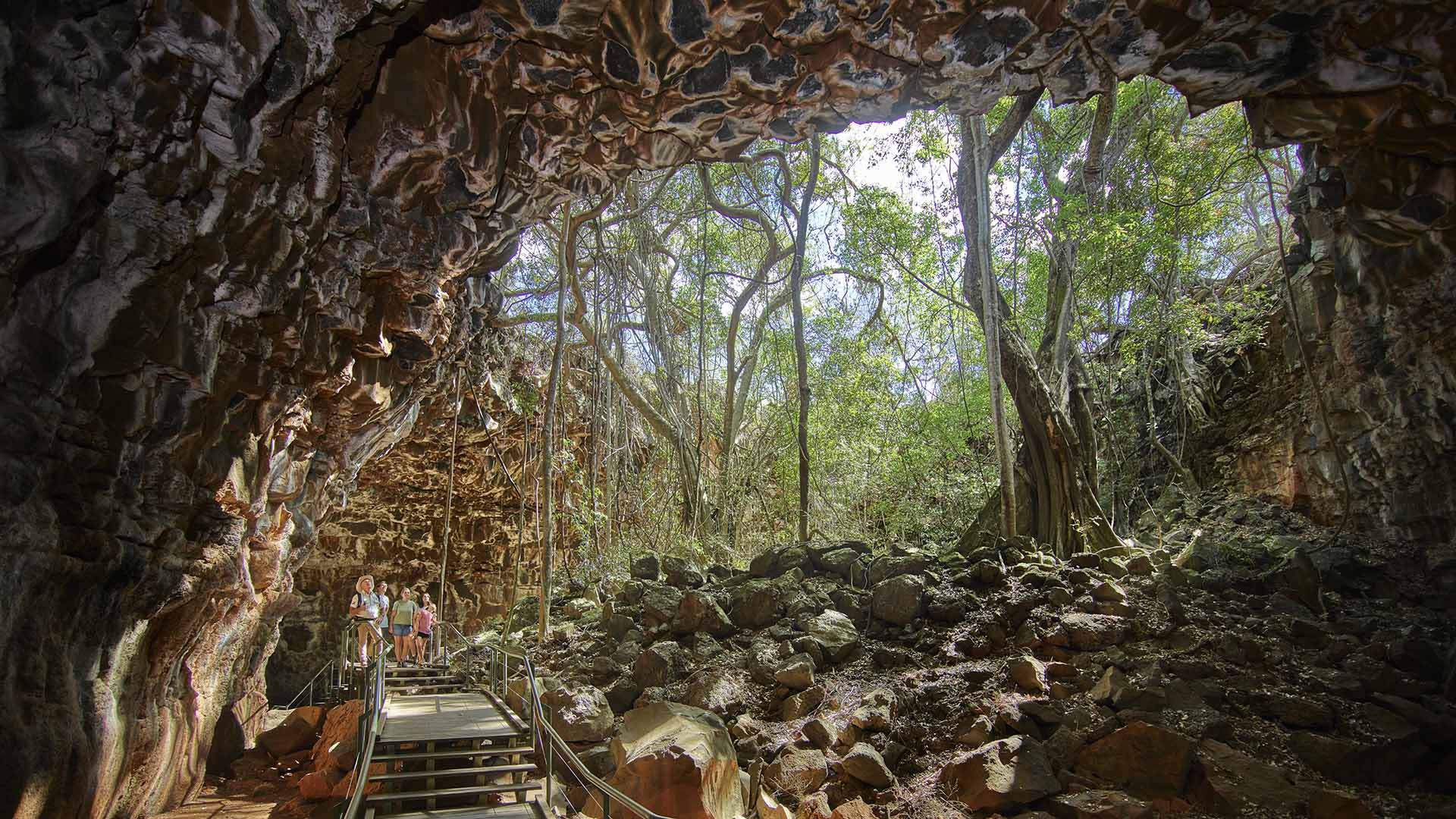 The Best Caves to Visit Near Brisbane and Beyond Concrete Playground