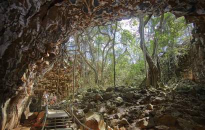 Background image for The Best Caves to Visit Near Brisbane and Beyond