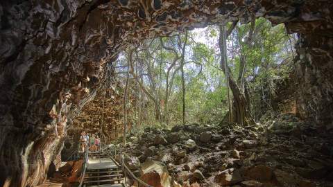 The Best Caves to Visit Near Brisbane and Beyond