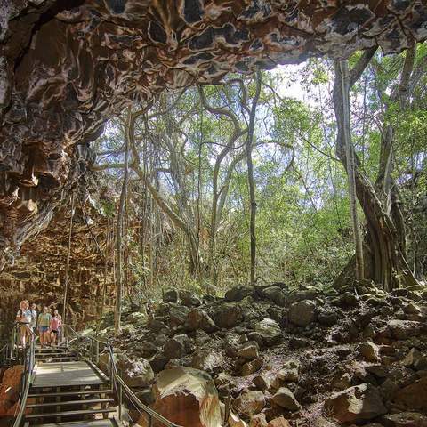 The Best Caves to Visit Near Brisbane and Beyond