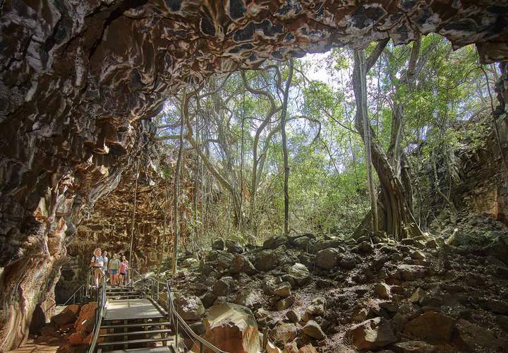 Background image for The Best Caves to Visit Near Brisbane and Beyond