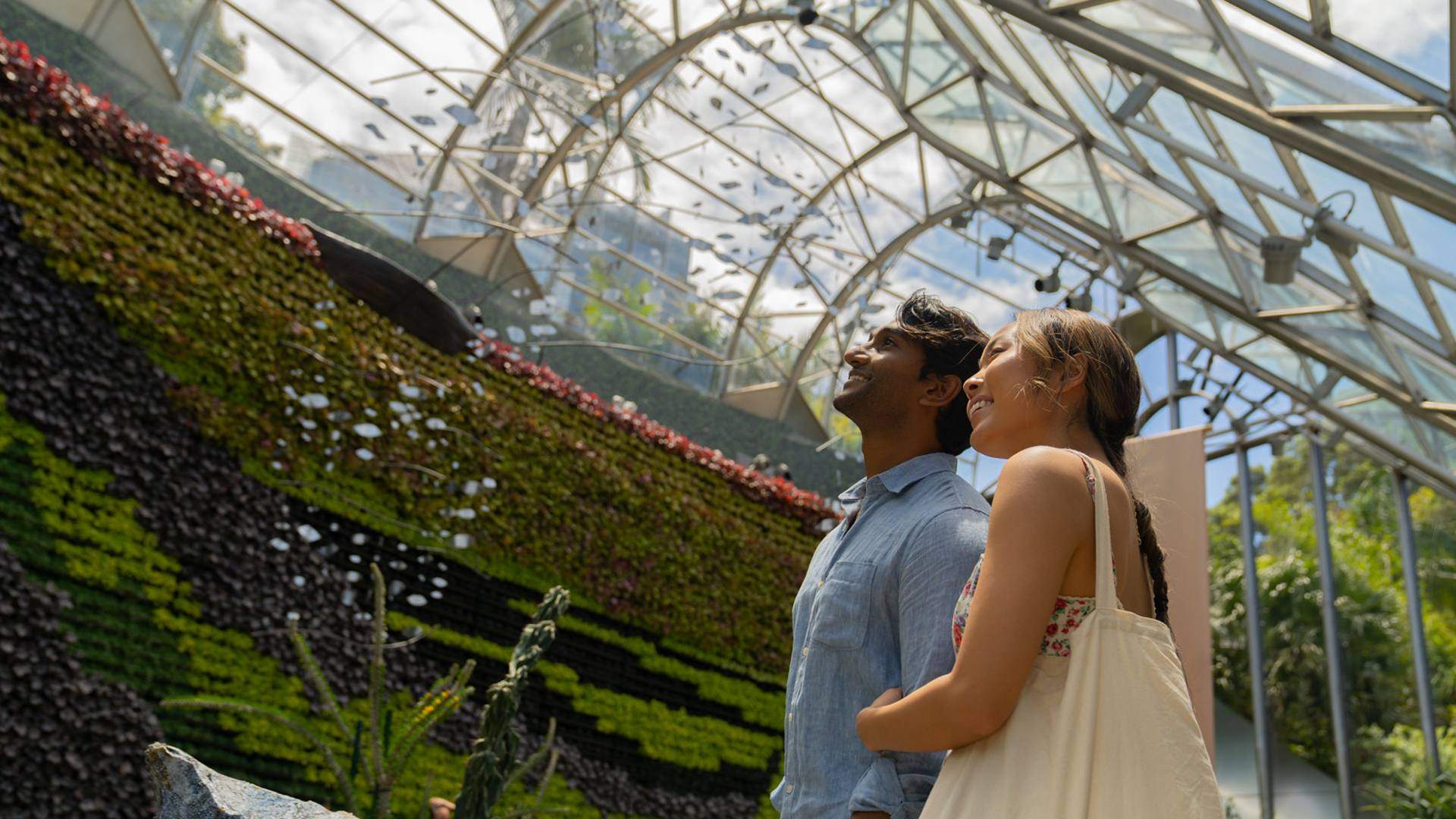 Summer at the Royal Botanic Garden Sydney