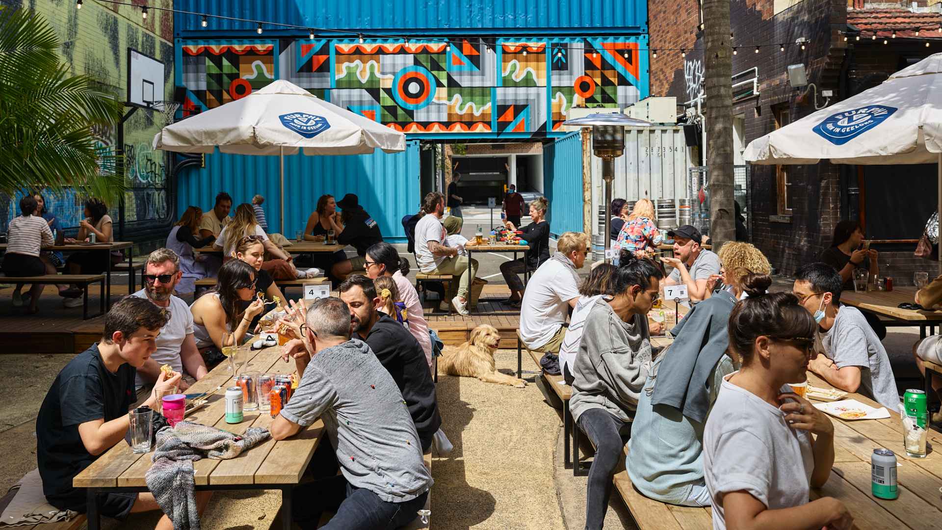 Sydney's Best Dog-Friendly Bars, Restaurants and Cafes for 2024