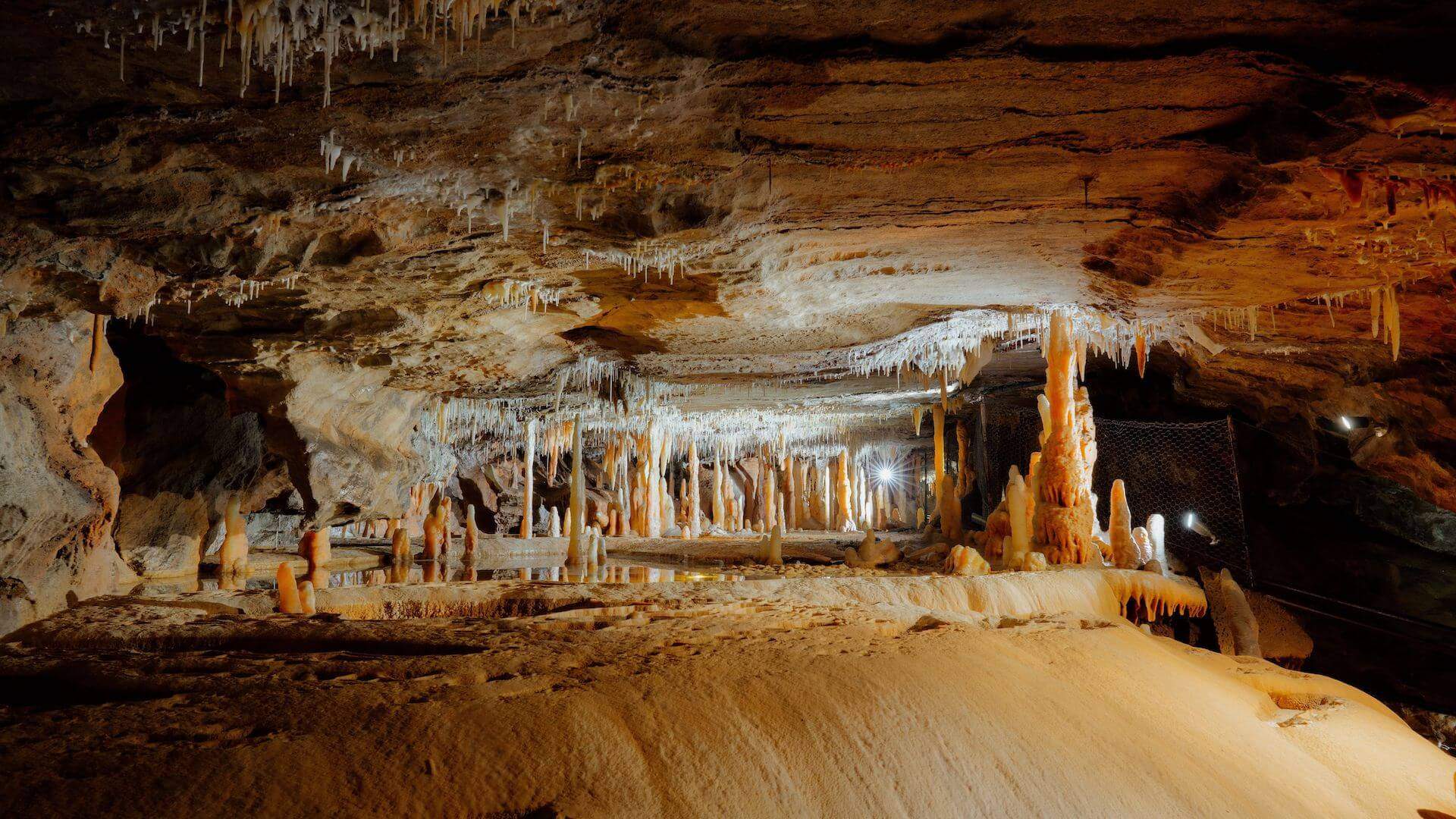 Buchan Caves - some of the best caves to visit near Melbourne