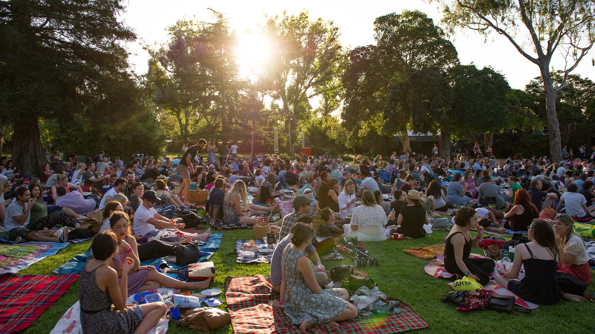 Melbourne Zoo Is Setting Up an Outdoor Cinema If You'd Like to Watch Flicks Surrounded by Animals