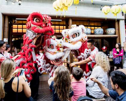 Chippendale Collective's Spice Festival