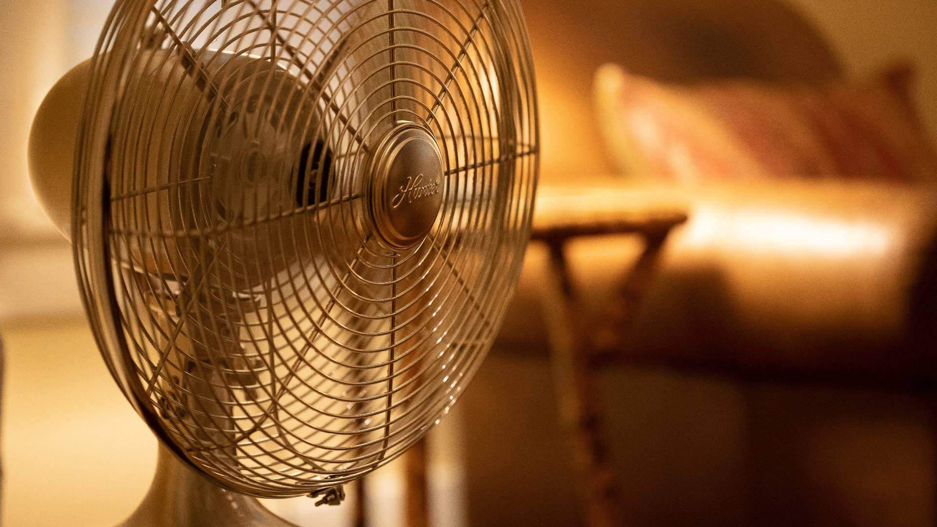 Eleven Sustainable Hacks for Keeping Cool Without Air Conditioning This Summer