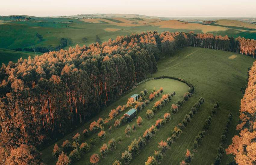 Background image for A Tiny House Nestled in a 60-Acre Olive Grove and Eucalyptus Forest Has Popped Up in Gippsland