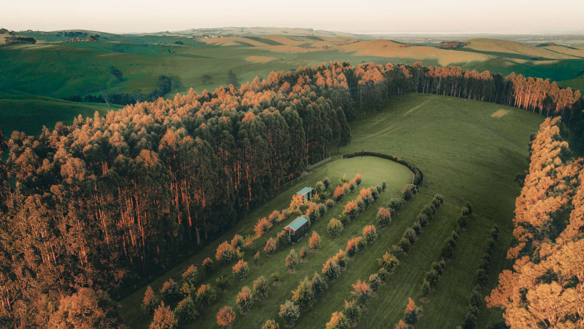 A Tiny House Nestled in a 60-Acre Olive Grove and Eucalyptus Forest Has Popped Up in Gippsland