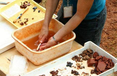 Lightning Ridge Fossil Digs