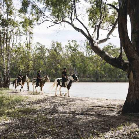 Horse riding Murray River