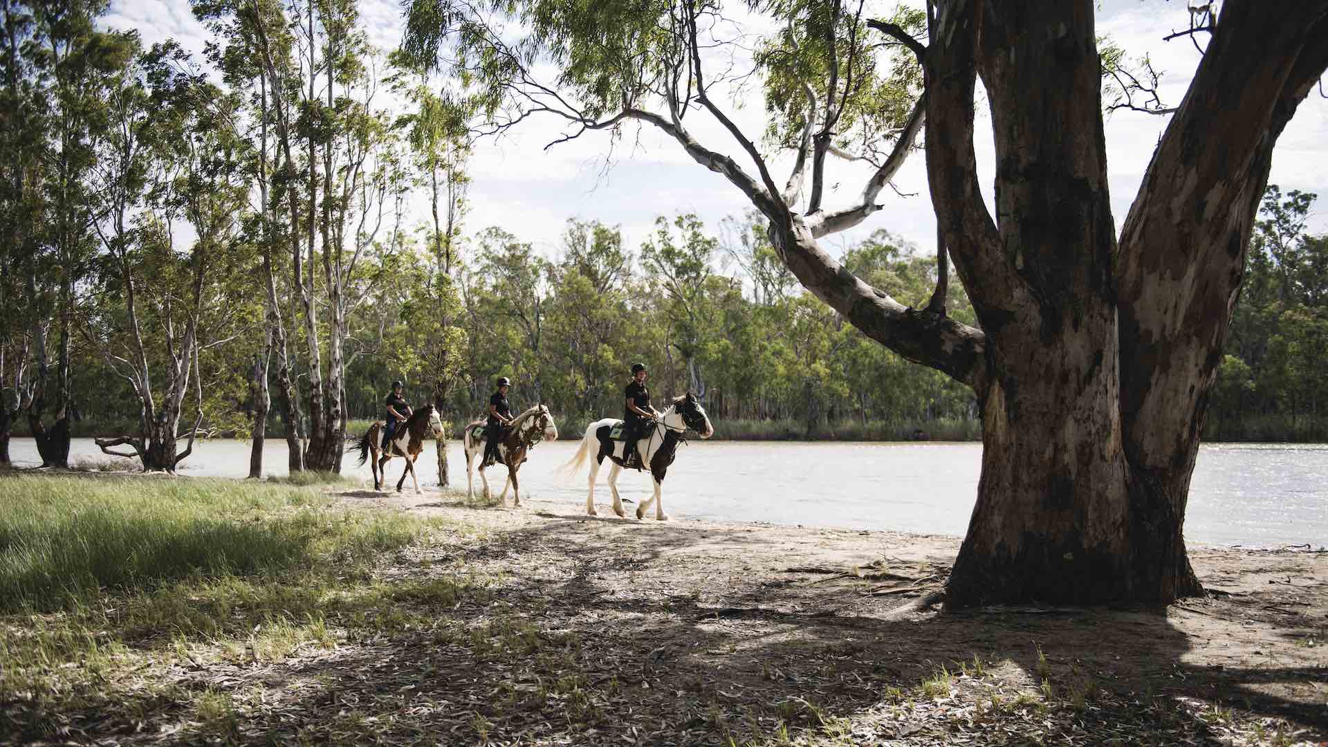 Horse riding Murray River