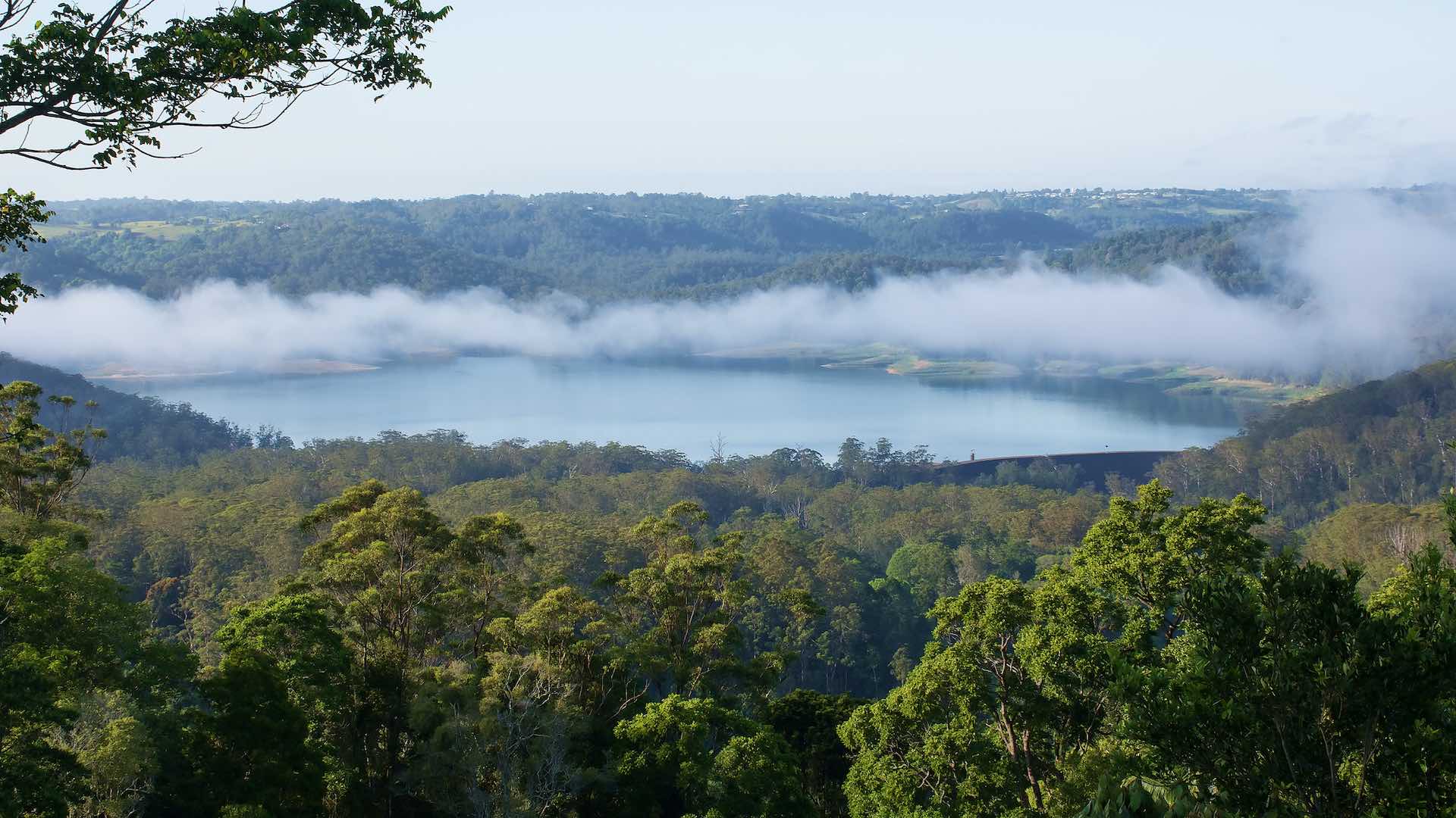 Morning overlooking Baroon Pocket Dam, Queensland
