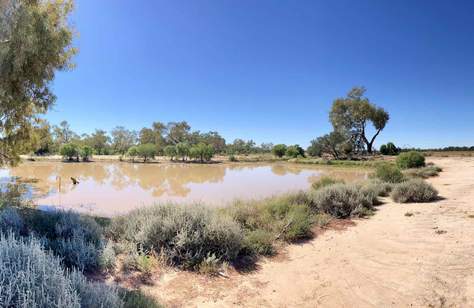 Cunnamulla Bushland