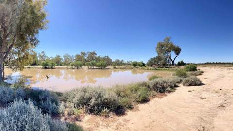 Cunnamulla Bushland, Queensland