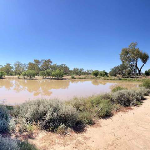 Cunnamulla Bushland, Queensland