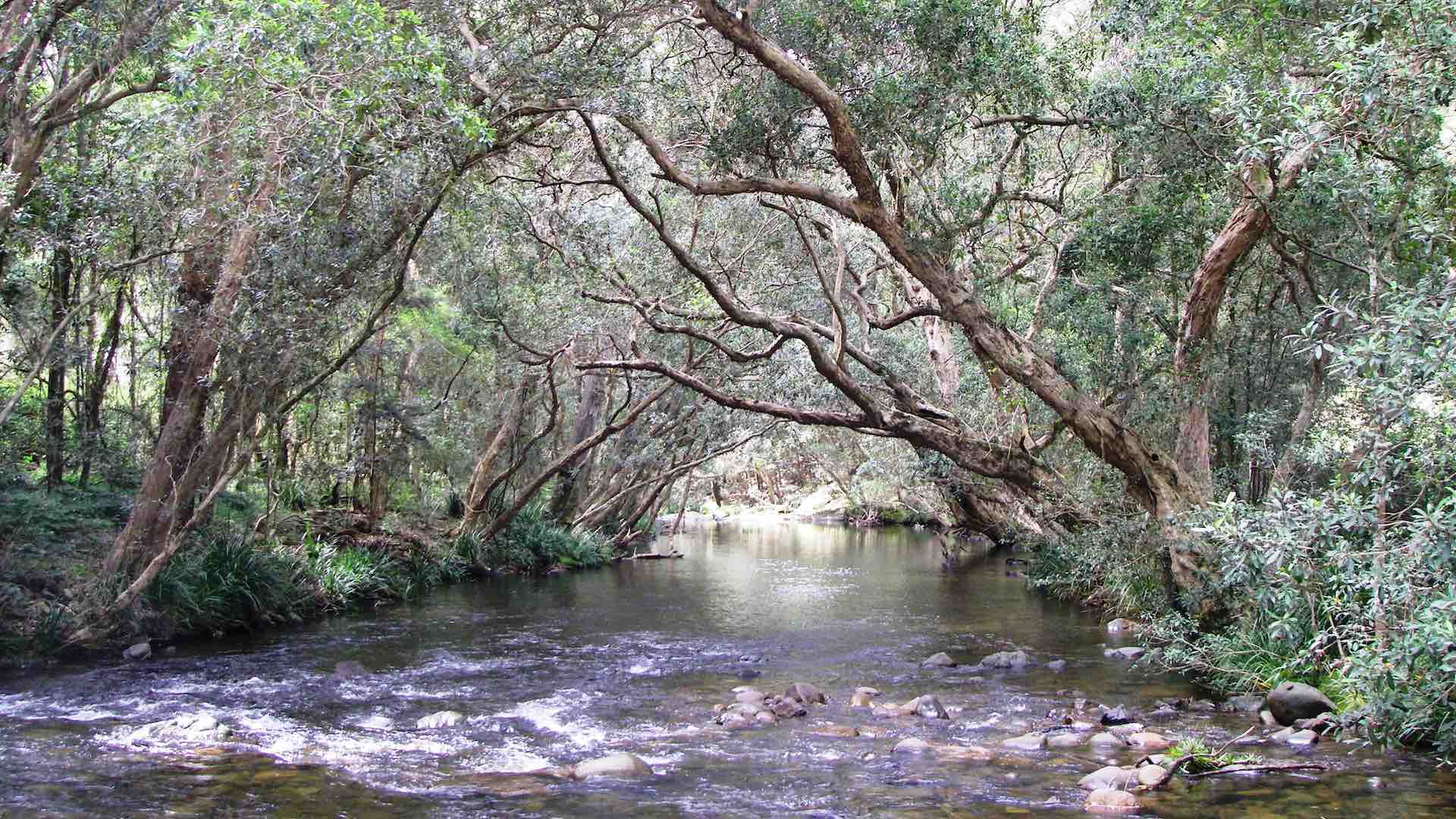 Gloucester River NSW
