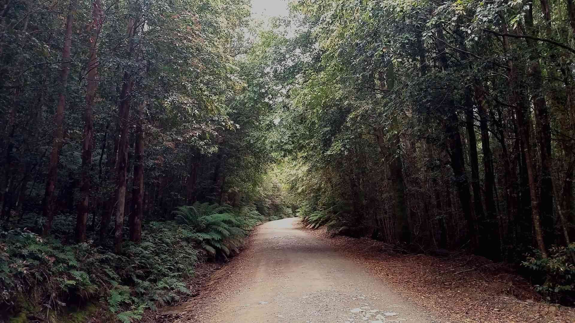 Barrington Trail