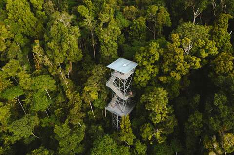 Mamu Tropical Skywalk