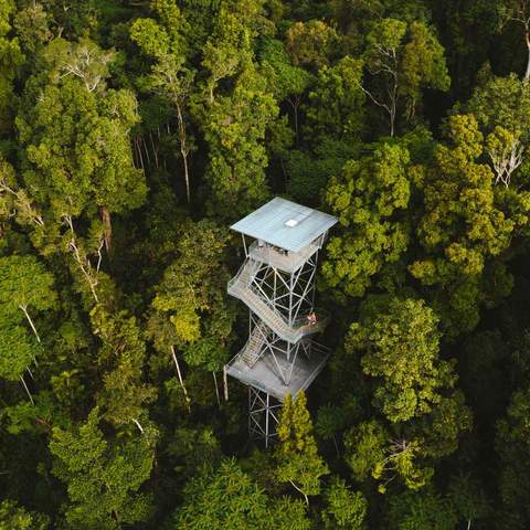 Mamu Tropical Skywalk